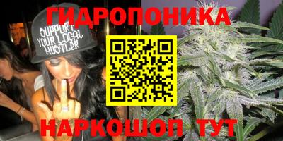 прущие крисы Нальчик